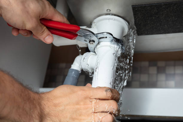 Best Local water damage restoration  in El Verano, CA