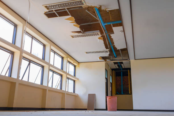 Best Flood damage cleanup  in El Verano, CA