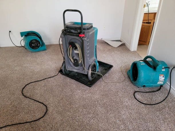 Best 24/7 water damage repair  in El Verano, CA
