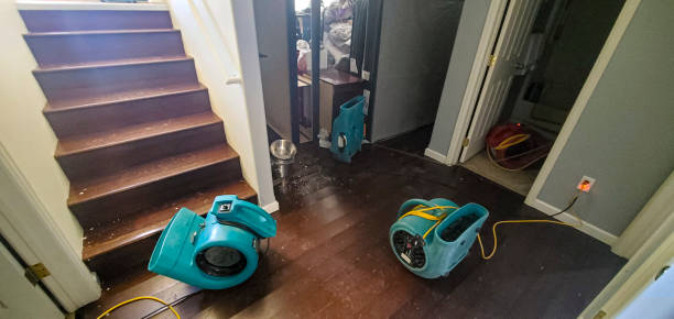 Best Flooded house restoration  in El Verano, CA