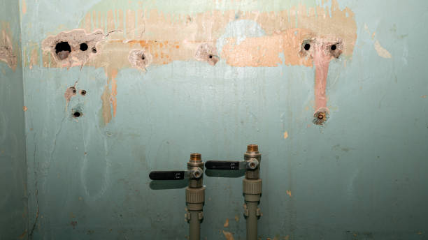 Best Local water damage restoration  in El Verano, CA
