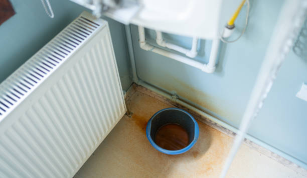 Best Water damage cleanup near me  in El Verano, CA