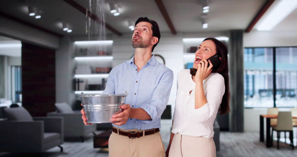 Best Professional water damage repair  in El Verano, CA
